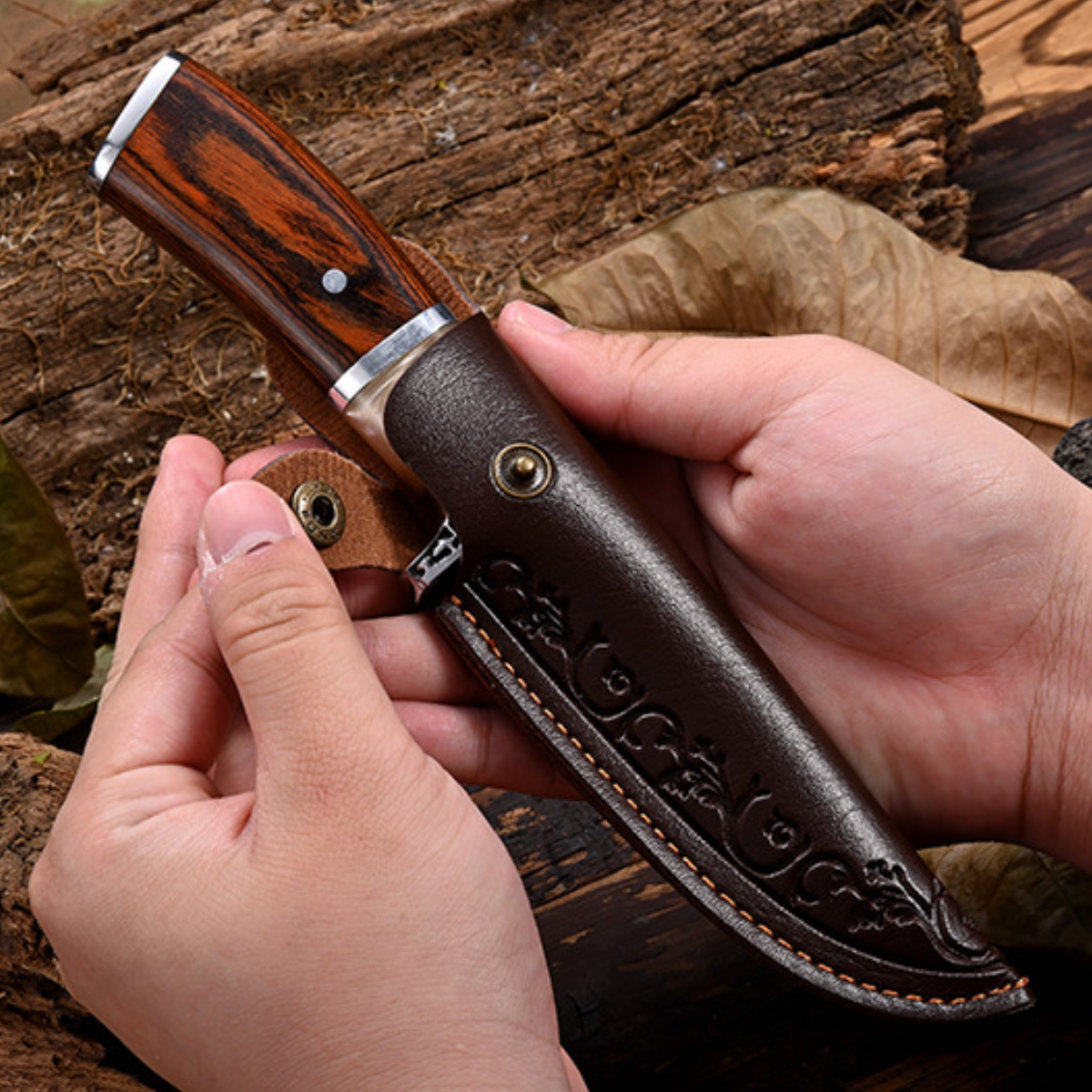 Cuchillo de Aventura Premium