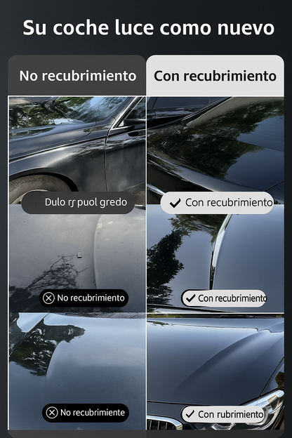 Brillo Rápido y Protección