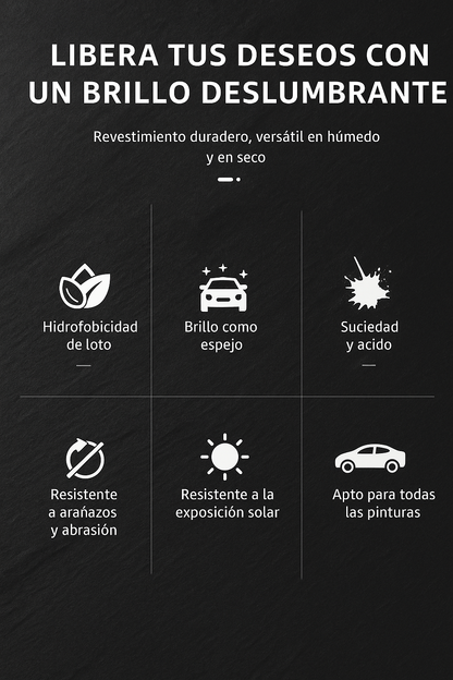 Brillo Rápido y Protección